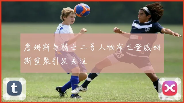 詹姆斯与骑士二号人物布兰登威姆斯重聚引发关注